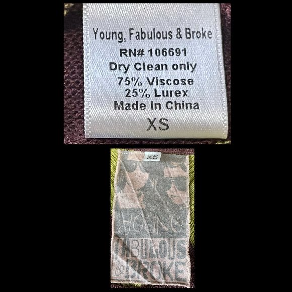 ▪️YOUNG FAB & BROKE▪️ Metallic Chevron Mini Dress - Picture 5 of 5